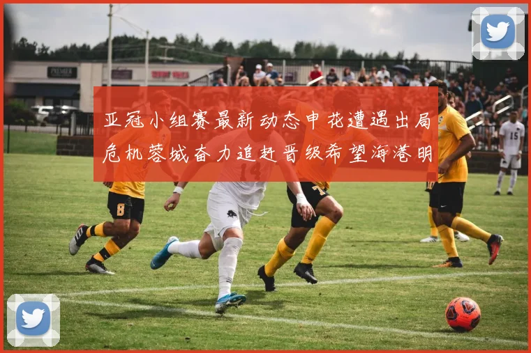 亚冠小组赛最新动态申花遭遇出局危机蓉城奋力追赶晋级希望海港明日迎战挑战